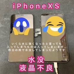 iPhoneXS 2021-10-21.jpg